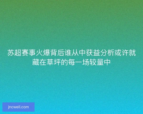 苏超赛事火爆背后谁从中获益分析或许就藏在草坪的每一场较量中 苏超赛事火爆背后谁从中获益分析或许就藏在草坪的每一场较量中