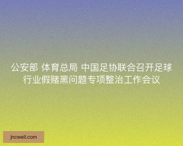 公安部 体育总局 中国足协联合召开足球行业假赌黑问题专项整治工作会议